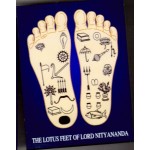 Lotus Feet of Lord Nityananda